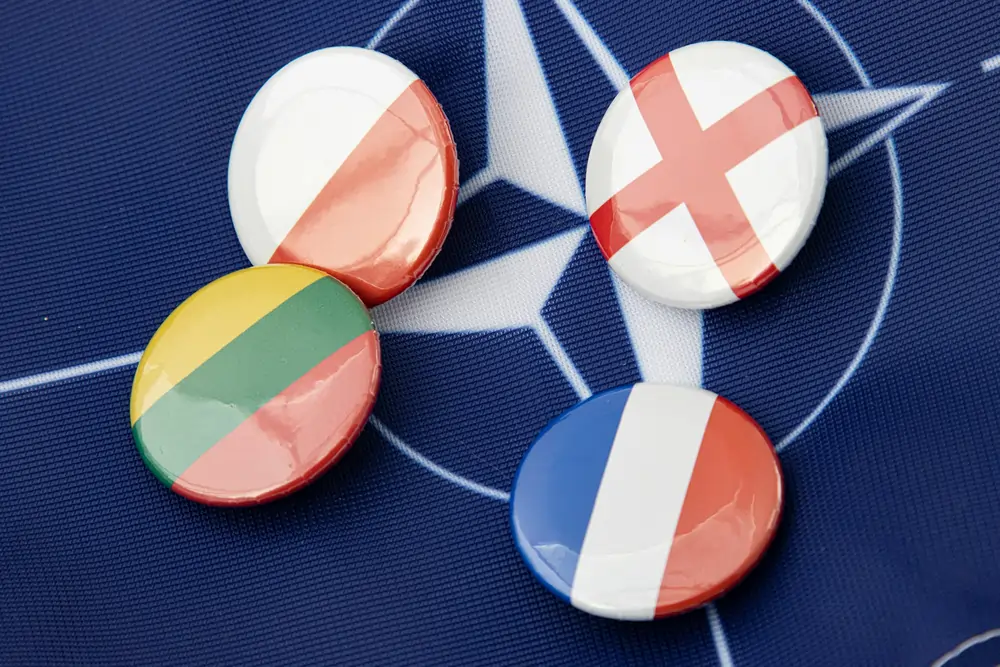 Should NATO have ended after the Cold War?